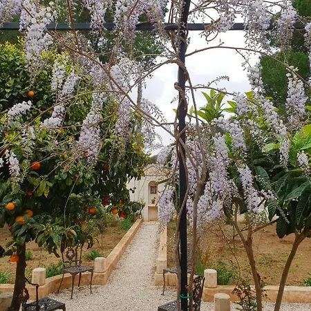 Boutique Country Country house Francavilla Fontana